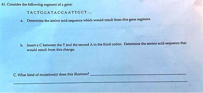 41. Consider the following segment of a gene:

TACTGGATACGAATTGCT....

a. Determine the amino acid sequence which would result from this gene segment.

b. Insert a C between the T and the second A in the third codon. Determine the amino acid sequence that would result from this change.

C. What kind of mutation(s) does this illustrate?