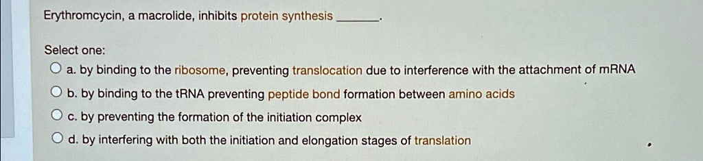 SOLVED: Erythromycin, a macrolide, inhibits protein synthesis Select ...
