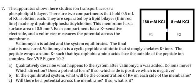 The apparatus shown here studies ion transport across… - SolvedLib