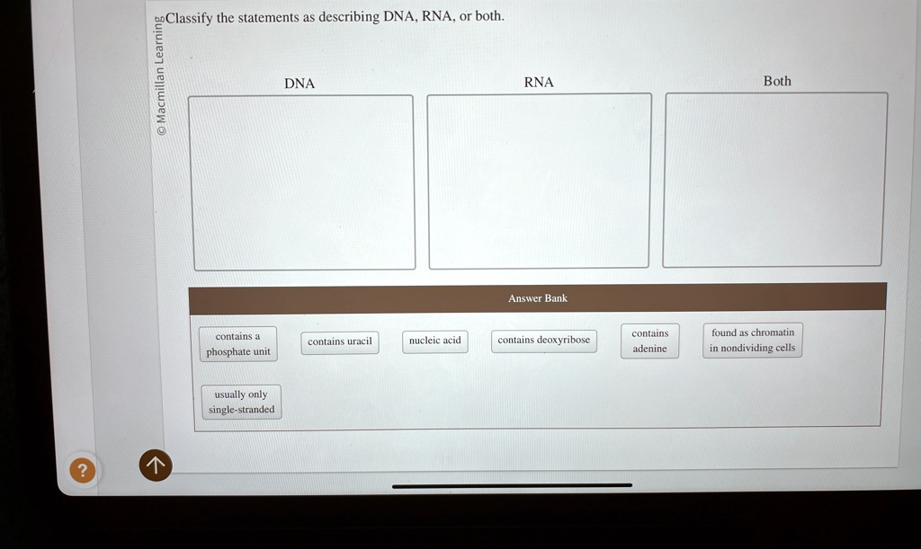 Classify the statements as describing DNA, RNA, or both. DNA RNA Both ...