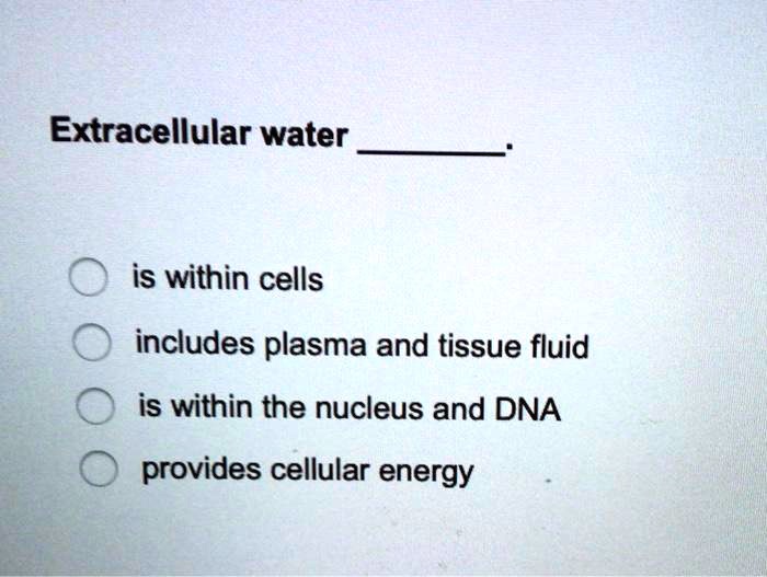 Extracellular water .

is within cells
includes plasma and tissue fluid
is within the nucleus and DNA
provides cellular energy