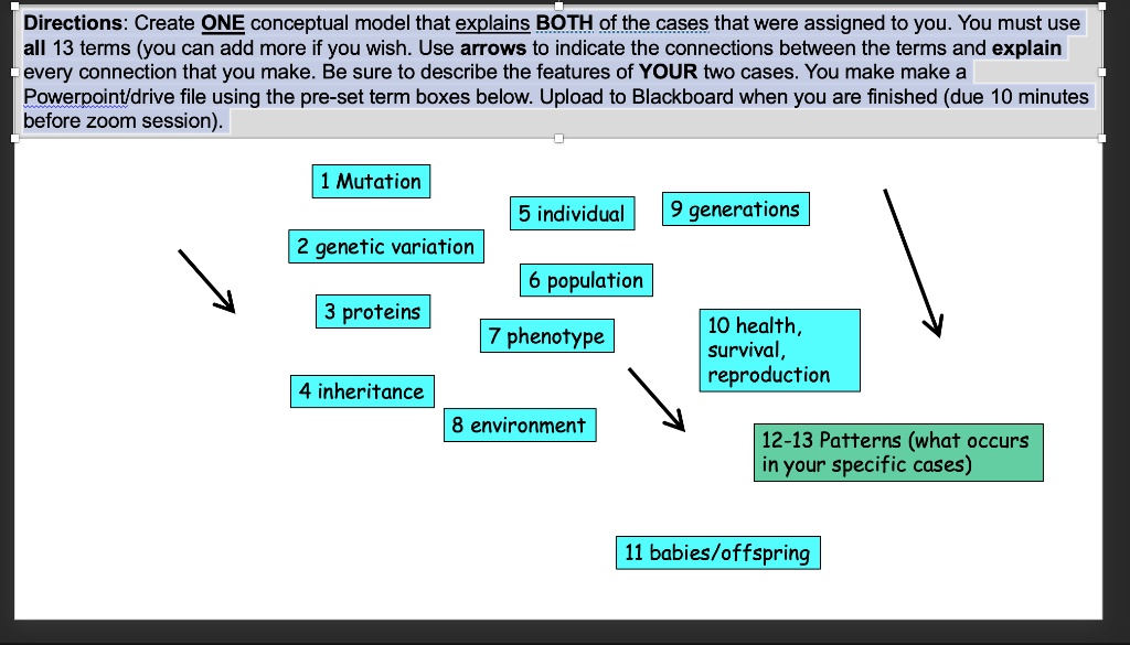 Directions: Create ONE conceptual model that explains BOTH of the cases that were assigned to you. You must use all 13 terms (you can add more if you wish. Use arrows to indicate the connections between the terms and explain every connection that you make. Be sure to describe the features of YOUR two cases. You make make a Powerpoint/drive file using the pre-set term boxes below. Upload to Blackboard when you are finished (due 10 minutes before zoom session).

1 Mutation
2 genetic variation
3 proteins
4 inheritance
5 individual
6 population
7 phenotype
8 environment
9 generations
10 health, survival, reproduction
11 babies/offspring
12-13 Patterns (what occurs in your specific cases)