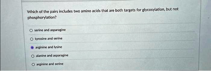 Which of the pairs includes two amino acids that are both targets for glycosylation, but not
phosphorylation?

O serine and asparagine

O tyrosine and serine

O arginine and lysine

O alanine and asparagine

O arginine and serine