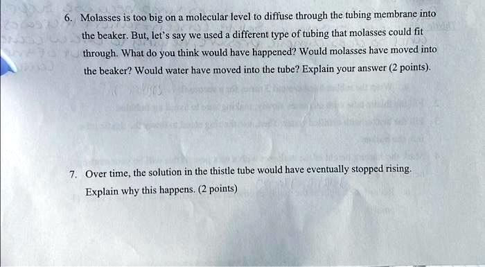 SOLVED: 2 6. Molasses is too big on a molecular level to diffuse ...