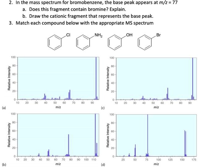 Solved In The Mass Spectrum For Bromobenzene The Base Peak Appears At Mz 77 Does This 2115