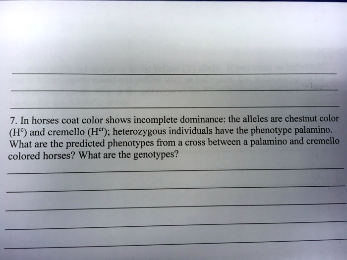 SOLVED In horses, coat color shows dominance the alleles