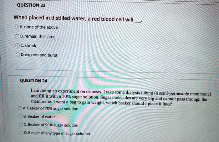 SOLVED: QUESTION 23 When placed in distilled water, a red blood cell