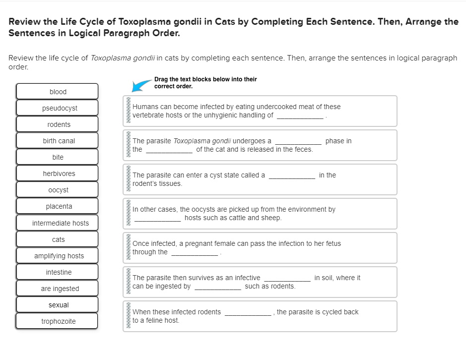 SOLVED Review the Life Cycle of Toxoplasma gondii in Cats by