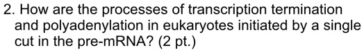 SOLVED: How are the processes of transcription termination and ...