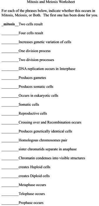 SOLVED: Text: Mitosis and Meiosis Worksheet For each of the phrases ...