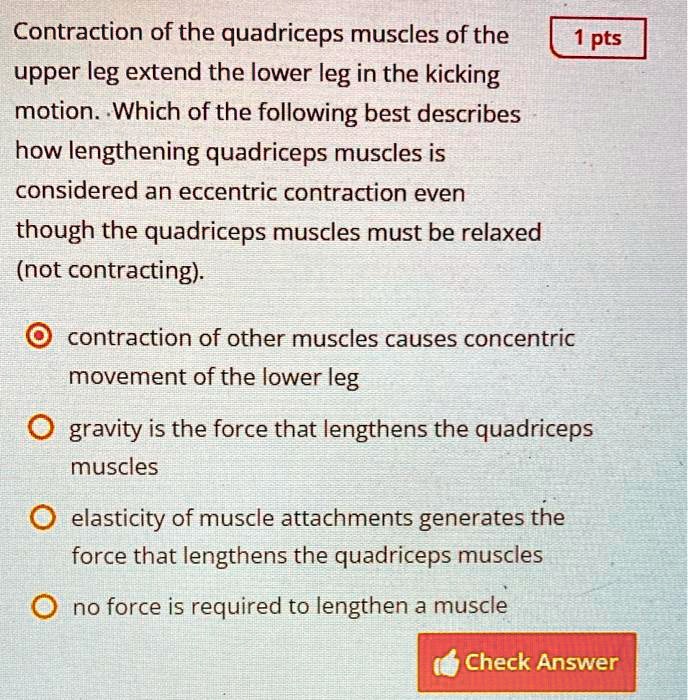 SOLVED: Contraction of the quadriceps muscles of the upper leg extend ...