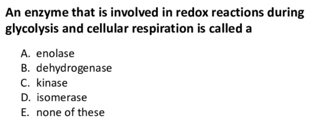 An enzyme that is involved in redox reactions during glycolysis and cellular respiration is called a

A. enolase
B. dehydrogenase
C. kinase
D. isomerase
E. none of these