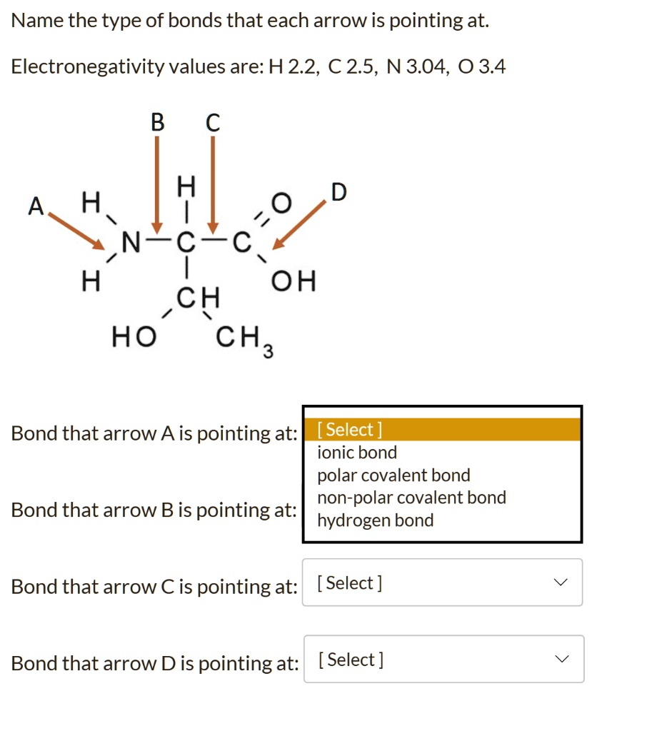 SOLVED Name the type of bonds that each arrow is pointing at Electronegativity values are H2