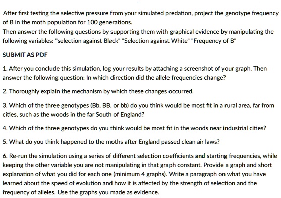 After first testing the selective pressure from your simulated predation, project the genotype frequency of B in the moth population for 100 generations.
Then answer the following questions by supporting them with graphical evidence by manipulating the following variables: "selection against Black" "Selection against White" "Frequency of B"
SUBMIT AS PDF
1. After you conclude this simulation, log your results by attaching a screenshot of your graph. Then answer the following question: In which direction did the allele frequencies change?
2. Thoroughly explain the mechanism by which these changes occurred.
3. Which of the three genotypes (Bb, BB, or bb) do you think would be most fit in a rural area, far from cities, such as the woods in the far South of England?
4. Which of the three genotypes do you think would be most fit in the woods near industrial cities?
5. What do you think happened to the moths after England passed clean air laws?
6. Re-run the simulation using a series of different selection coefficients and starting frequencies, while keeping the other variable you are not manipulating in that graph constant. Provide a graph and short explanation of what you did for each one (minimum 4 graphs). Write a paragraph on what you have learned about the speed of evolution and how it is affected by the strength of selection and the frequency of alleles. Use the graphs you made as evidence.