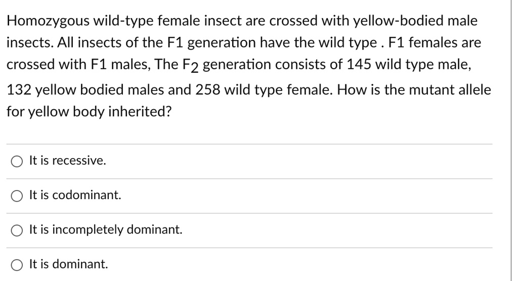[GET ANSWER] homozygous wild type female insect are crossed with yellow ...