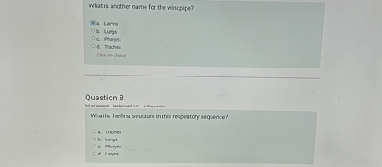 What is another name for the windpipe?

a. Larynx
b. Lungs
c. Pharynx
d. Trachea

Question 8

What is the first structure in this respiratory sequence?

a. Trachea
b. Lungs
c. Pharynx
d. Larynx