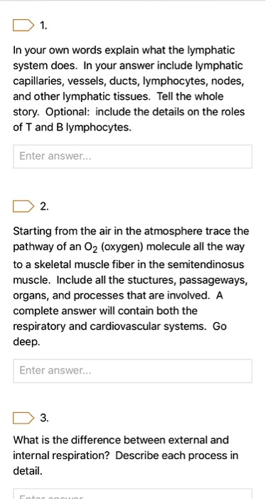 1.
In your own words explain what the lymphatic system does. In your answer include lymphatic capillaries, vessels, ducts, lymphocytes, nodes, and other lymphatic tissues. Tell the whole story. Optional: include the details on the roles of T and B lymphocytes.

2.
Starting from the air in the atmosphere trace the pathway of an O2 (oxygen) molecule all the way to a skeletal muscle fiber in the semitendinosus muscle. Include all the stuctures, passageways, organs, and processes that are involved. A complete answer will contain both the respiratory and cardiovascular systems. Go deep.

3.
What is the difference between external and internal respiration? Describe each process in detail.