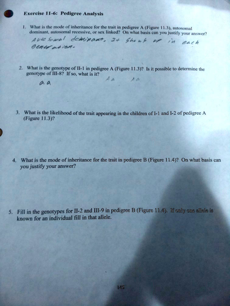 Exercise 11-6: Pedigree Analysis
1. What is the mode of inheritance for the trait in pedigree A (Figure 11.3), autosomal
dominant, autosomal recessive, or sex linked? On what basis can you justify your answer?
Autosomal dominant, It shows up in each
generation.
2. What is the genotype of II-1 in pedigree A (Figure 11.3)? Is it possible to determine the
genotype of III-8? If so, what is it?
a a Aa Aa
3. What is the likelihood of the trait appearing in the children of I-1 and I-2 of pedigree A
(Figure 11.3)?
4. What is the mode of inheritance for the trait in pedigree B (Figure 11.4)? On what basis can
you justify your answer?
5. Fill in the genotypes for II-2 and III-9 in pedigree B (Figure 11.4). If only one allele is
known for an individual fill in that allele.