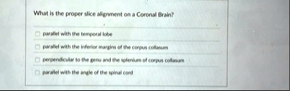 what is the proper slice alignment on a coronal brain parallel with the ...