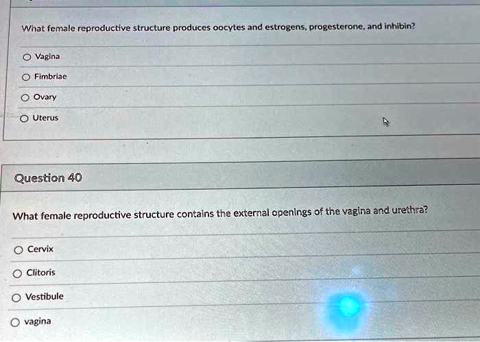 SOLVED: What female reproductive structure produces oocytes and