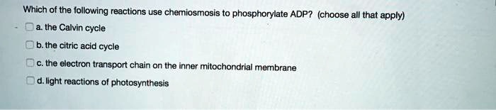 Which of the following reactions use chemiosmosis to phosphorylate ADP? (choose all that apply)
a. the Calvin cycle
b. the citric acid cycle
c. the electron transport chain on the inner mitochondrial membrane
d. light reactions of photosynthesis