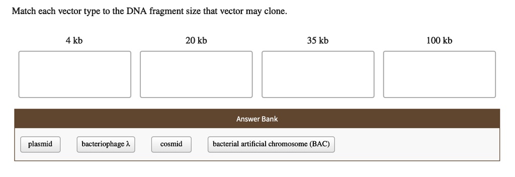Match each vector type to the DNA fragment size that vector may clone.
4 kb
20 kb
35 kb
100 kb
Answer Bank
plasmid
bacteriophage ?
cosmid
bacterial artificial chromosome (BAC)