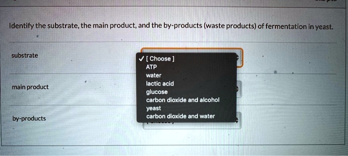 Identify the substrate, the main product, and the by-products (waste products) of fermentation in yeast.

substrate
[ Choose ]
ATP
water
lactic acid
glucose
carbon dioxide and alcohol
yeast
carbon dioxide and water

main product

by-products