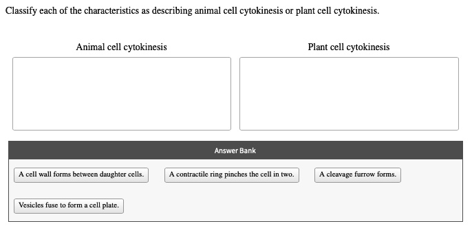 SOLVED: Classify each of the characteristics as describing animal cell  cytokinesis or plant cell cytokinesis Animal cell cytokinesis Plant cell  cytokinesis Answer Bank 4 ccl *al TOFMs Dctwccn dauwhicr ccls contracule  ring