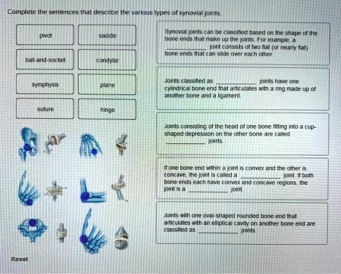 SOLVED Complete the sentences that describe the various types of