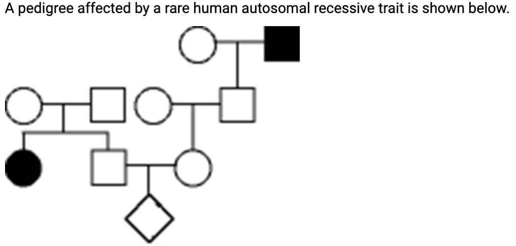 A pedigree affected by a rare human autosomal recessive trait is shown below.