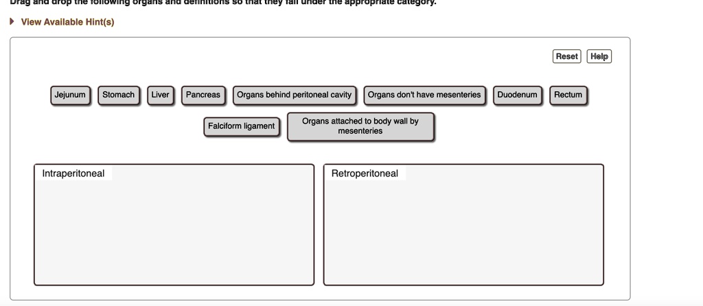 Drag and drop the following organs and definitions so that they fall under the appropriate category.
View Available Hint(s)
Reset Help
Jejunum
Stomach
Liver
Pancreas
Organs behind peritoneal cavity
Organs don't have mesenteries
Duodenum
Rectum
Falciform ligament
Organs attached to body wall by mesenteries
Intraperitoneal
Retroperitoneal