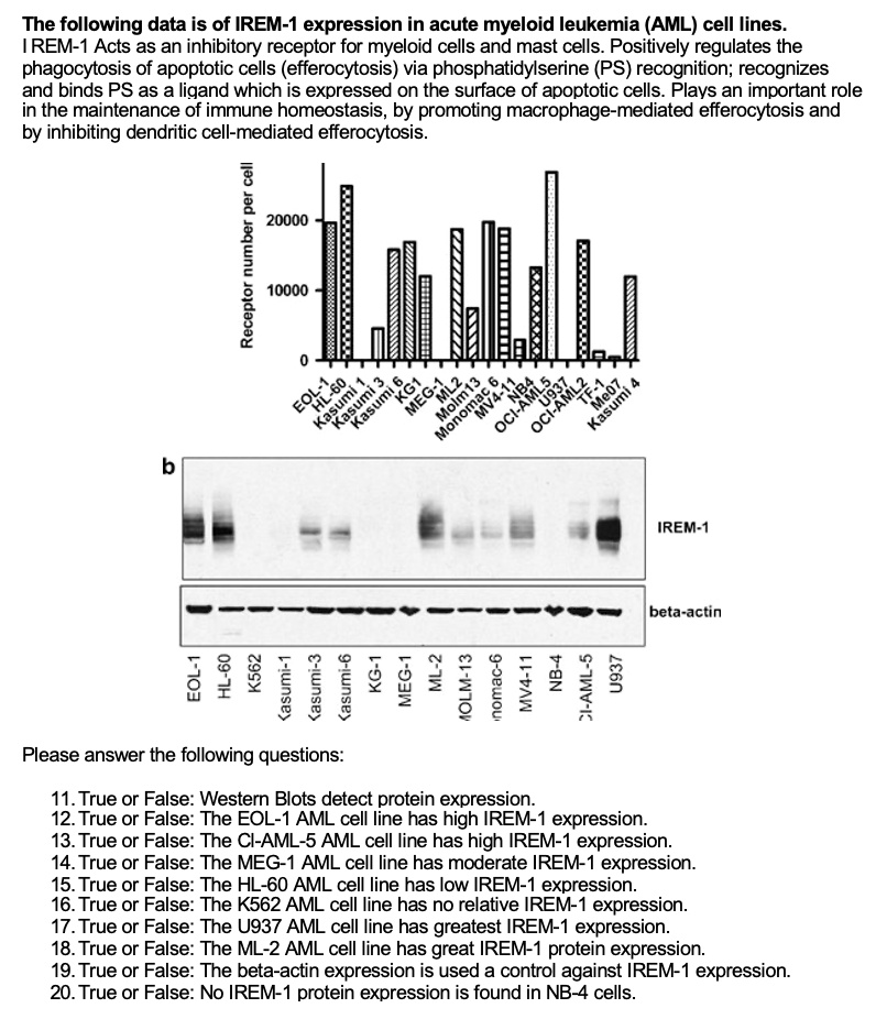 The following data is of IREM-1 expression in acute myeloid leukemia (AML) cell lines.
IREM-1 Acts as an inhibitory receptor for myeloid cells and mast cells. Positively regulates the phagocytosis of apoptotic cells (efferocytosis) via phosphatidylserine (PS) recognition; recognizes and binds PS as a ligand which is expressed on the surface of apoptotic cells. Plays an important role in the maintenance of immune homeostasis, by promoting macrophage-mediated efferocytosis and by inhibiting dendritic cell-mediated efferocytosis.

Receptor number per cell
20000
10000
0
EOL-1
HL-60
Kasumi 1
Kasumi 3
Kasumi 6
KG1
MEG-1
ML2
Molm13
Monomac 6
MV4-11
NB4
OCI-AML5
U937
OCI-AML2
TF-1
Me07
Kasumi 4

b
IREM-1
beta-actin
EOL-1
HL-60
K562
Kasumi-1
Kasumi-3
Kasumi-6
KG-1
MEG-1
ML-2
MOLM-13
Monomac-6
MV4-11
NB-4
CI-AML-5
U937

Please answer the following questions:

11. True or False: Western Blots detect protein expression.
12. True or False: The EOL-1 AML cell line has high IREM-1 expression.
13. True or False: The CI-AML-5 AML cell line has high IREM-1 expression.
14. True or False: The MEG-1 AML cell line has moderate IREM-1 expression.
15. True or False: The HL-60 AML cell line has low IREM-1 expression.
16. True or False: The K562 AML cell line has no relative IREM-1 expression.
17. True or False: The U937 AML cell line has greatest IREM-1 expression.
18. True or False: The ML-2 AML cell line has great IREM-1 protein expression.
19. True or False: The beta-actin expression is used a control against IREM-1 expression.
20. True or False: No IREM-1 protein expression is found in NB-4 cells.