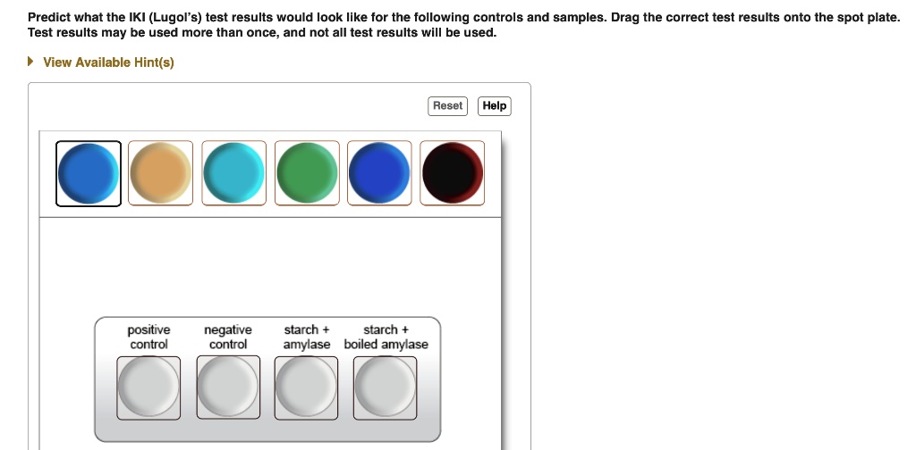 Predict what the Iodine (Lugol's) test results would look like for the