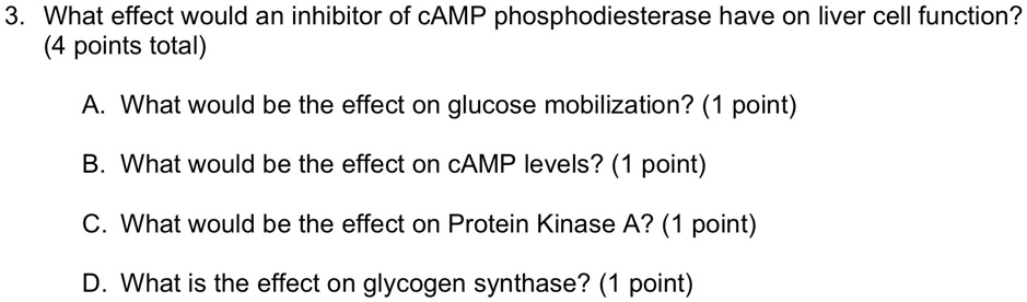 3. What effect would an inhibitor of cAMP phosphodiesterase have on liver cell function? (4 points total)
A. What would be the effect on glucose mobilization? (1 point)
B. What would be the effect on cAMP levels? (1 point)
C. What would be the effect on Protein Kinase A? (1 point)
D. What is the effect on glycogen synthase? (1 point)