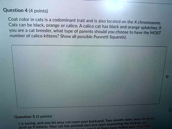 SOLVED Question 4 (4 points) Coat color in cats is a codominant trait