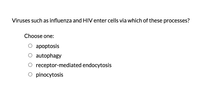 Viruses such as influenza and HIV enter cells via which of these processes?
Choose one:
apoptosis
autophagy
receptor-mediated endocytosis
pinocytosis