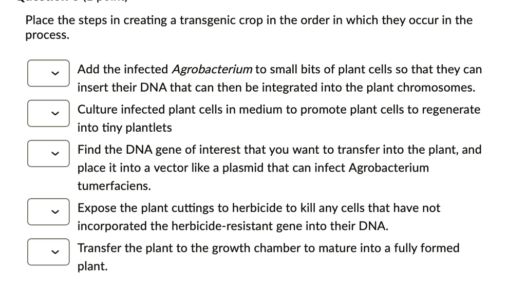 Place the steps in creating a transgenic crop in the order in which they occur in the process.
Add the infected Agrobacterium to small bits of plant cells so that they can insert their DNA that can then be integrated into the plant chromosomes.
Culture infected plant cells in medium to promote plant cells to regenerate into tiny plantlets
Find the DNA gene of interest that you want to transfer into the plant, and place it into a vector like a plasmid that can infect Agrobacterium tumerfaciens.
Expose the plant cuttings to herbicide to kill any cells that have not incorporated the herbicide-resistant gene into their DNA.
Transfer the plant to the growth chamber to mature into a fully formed plant.
