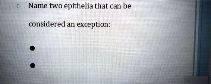 Name two epithelia that can be
considered an exception:
