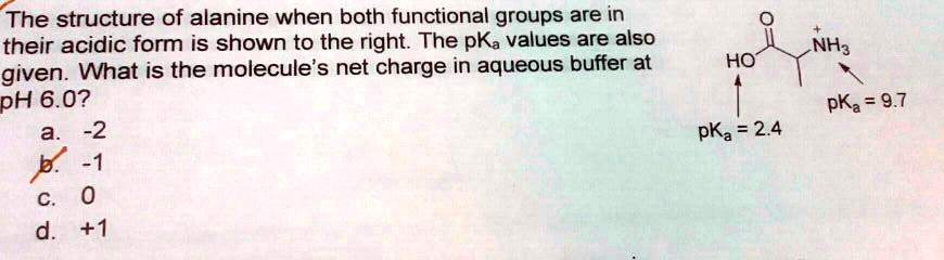 The structure of alanine when both functional groups are in their ...