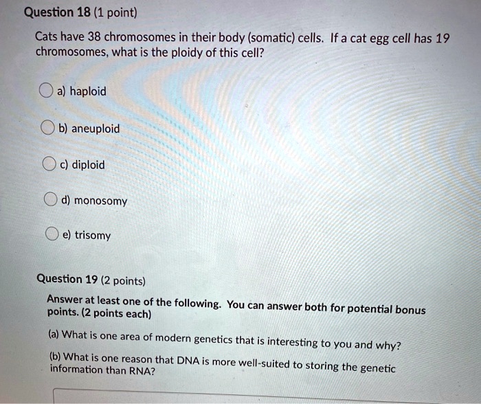 SOLVED Question 18 (1 point) Cats have 38 chromosomes in their body