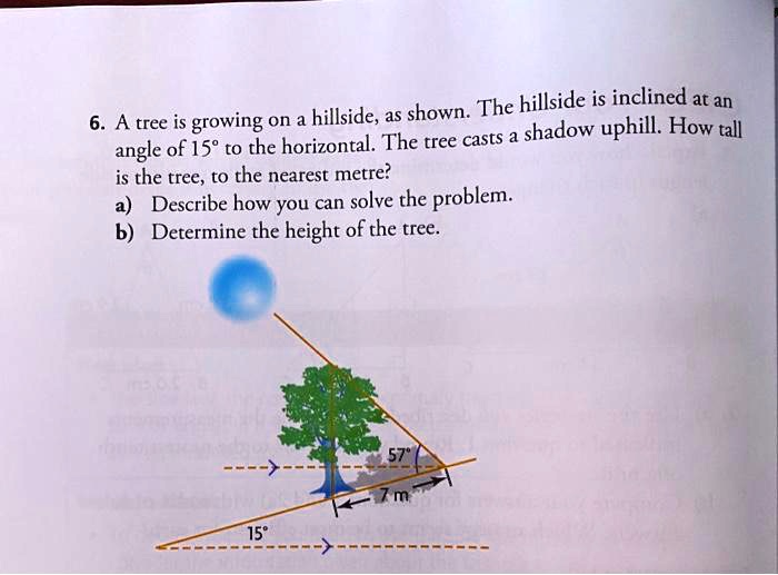 SOLVED: The hillside is inclined at an 6. A tree is growing on a ...