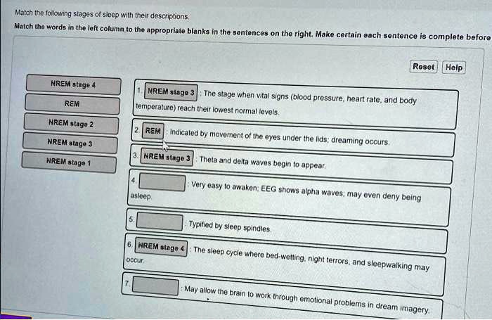 Match the following stages of sleep with their descriptions.
Match the words in the left column to the appropriate blanks in the sentences on the right. Make certain each sentence is complete before

NREM stage 4
REM
NREM stage 2
NREM stage 3
NREM stage 1

1. NREM stage 3 : The stage when vital signs (blood pressure, heart rate, and body temperature) reach their lowest normal levels.
2. REM : Indicated by movement of the eyes under the lids; dreaming occurs.
3. NREM stage 3 : Theta and delta waves begin to appear.
4. : Very easy to awaken; EEG shows alpha waves; may even deny being asleep.
5. : Typified by sleep spindles.
6. NREM stage 4 : The sleep cycle where bed-wetting, night terrors, and sleepwalking may occur.
7. : May allow the brain to work through emotional problems in dream imagery.
