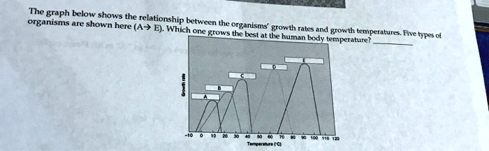 The graph below shows the relationship between the organisms' growth ...