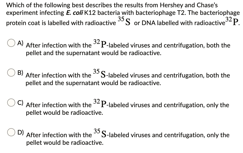 Solved:which Of The Following Best Describes The Results From Hershey And  Chase�s Experiment Infecting E. Coli K12 Bacteria With Bacteriophage T2.  The Bacteriophage Protein Coat Is Labelled With Radioactive 35 S Or Solved:which Of The Following Best Describes The Results From Hershey And  Chase�s Experiment Infecting E. Coli K12 Bacteria With Bacteriophage T2.  The Bacteriophage Protein Coat Is Labelled With Radioactive 35 S Or