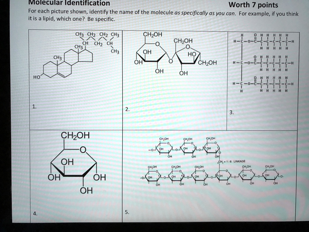Solved Identify The Following Molecules Not Specifically Or Cheggcom