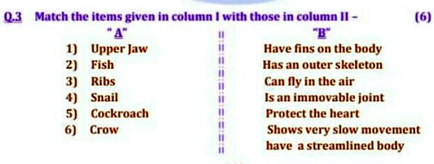 Match the items given in column I with those in column II -
"A"
1) Upper Jaw
2) Fish
3) Ribs
4) Snail
5) Cockroach
6) Crow
"B"
Have fins on the body
Has an outer skeleton
Can fly in the air
Is an immovable joint
Protect the heart
Shows very slow movement
have a streamlined body