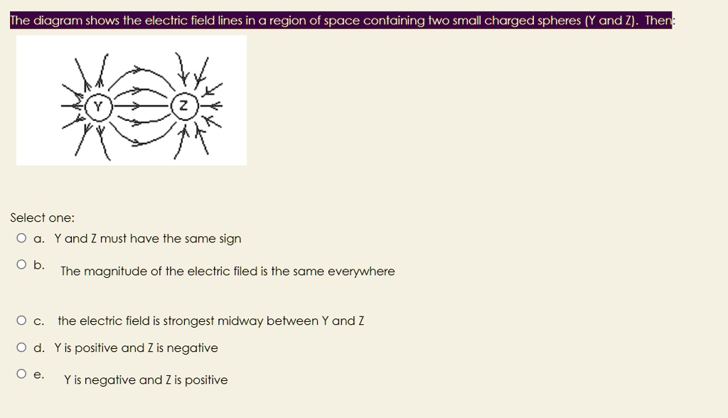 SOLVED: The diagram shows the electric field lines in @ region of space ...