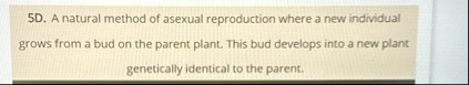 5d a natural method of asexual reproduction where a new individual grows from a bud on the parent plant this bud develops into a new plant genetically identical to the parent 68624