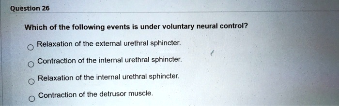 Which of the following events is under voluntary neural control?

Relaxation of the external urethral sphincter.
Contraction of the internal urethral sphincter.
Relaxation of the internal urethral sphincter.
Contraction of the detrusor muscle.