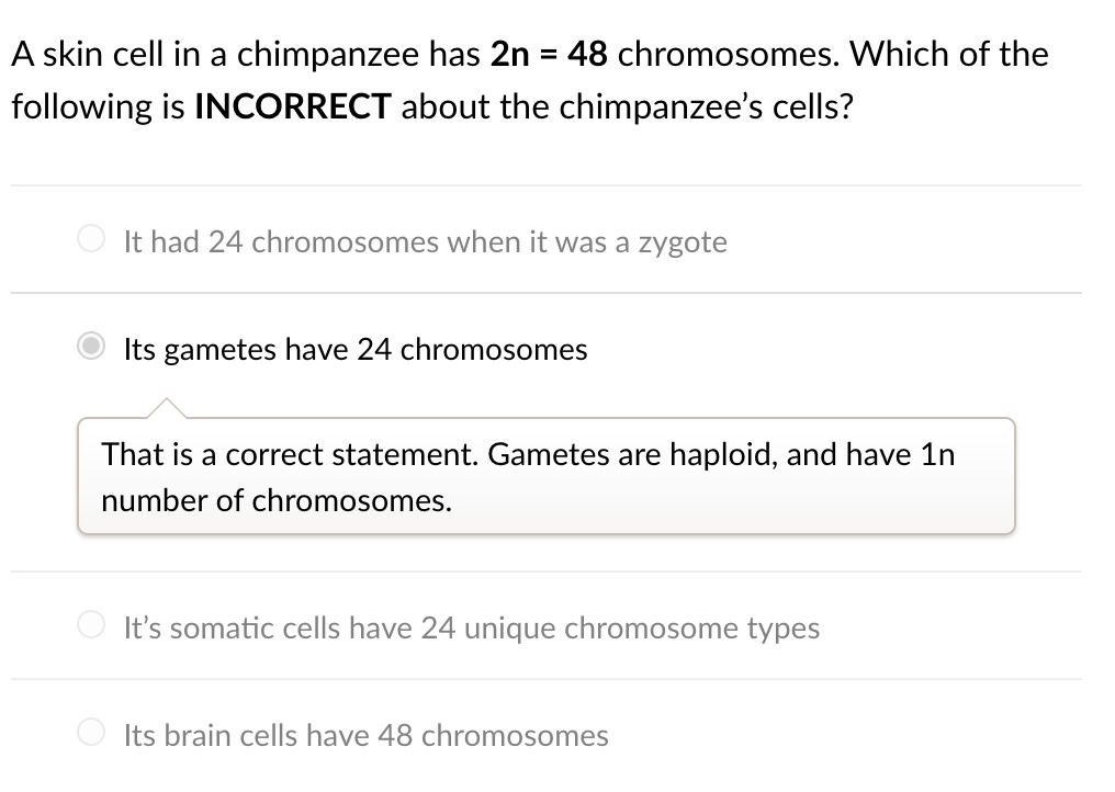 SOLVED skin cell in a chimpanzee has Zn 48 chromosomes. Which of the